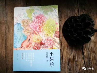 小寒書事 周曉楓《小翅膀》的故云行